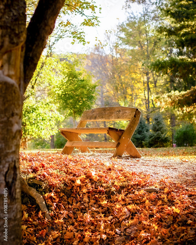 bench in autumn forest