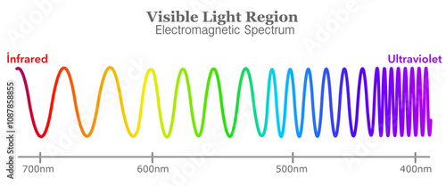 Colors wavelength range, long, short line waves. Red, yellow, green, blue, violet, color light frequency, rainbow. Visible electromagnetic spectrum diagram. Ultraviolet to infrared radiation. Vector	