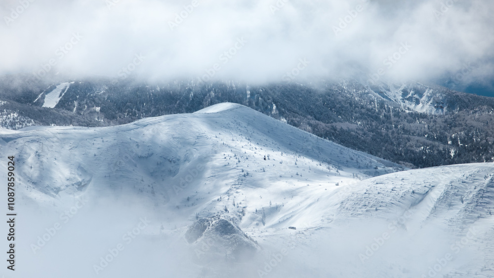 Snowy forest landscape and mountains emerging through holes in a thick layer of cloud Snowy forest landscape and mountains emerging through holes in a thick layer of cloud