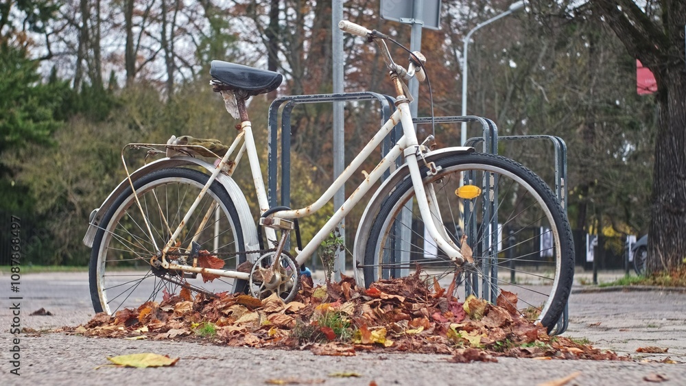 Fototapeta premium Old Rusty Abandoned Bicycle Covered in Withered Leaves Parked By Bike Stand at City Street