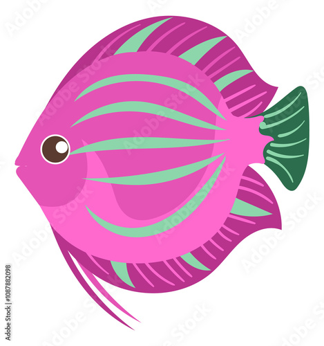 Discus fish cartoon icon. Marine animal. Exotic pet photo