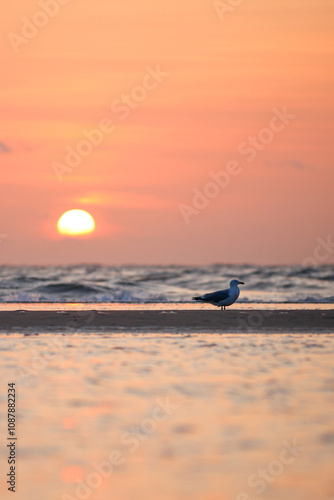 Sonnenuntergang am Strand von Nordholland im Sommer. 