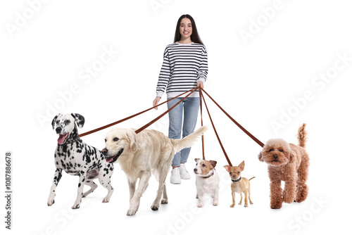 Photography Young woman with five different dogs on white background