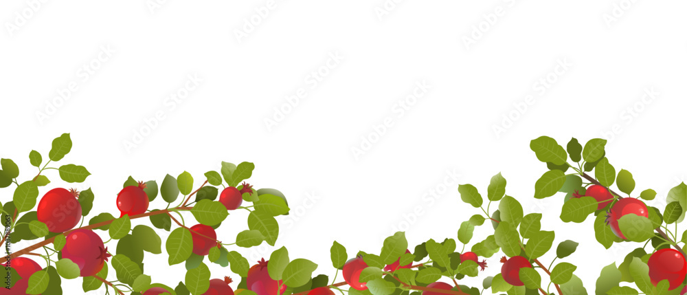 custom made wallpaper toronto digitalBelow branch. Branches of pomegranate fruit. Ripe and red. Delicious harvest in garden. Object isolated on white background. Cartoon fun style Illustration vector