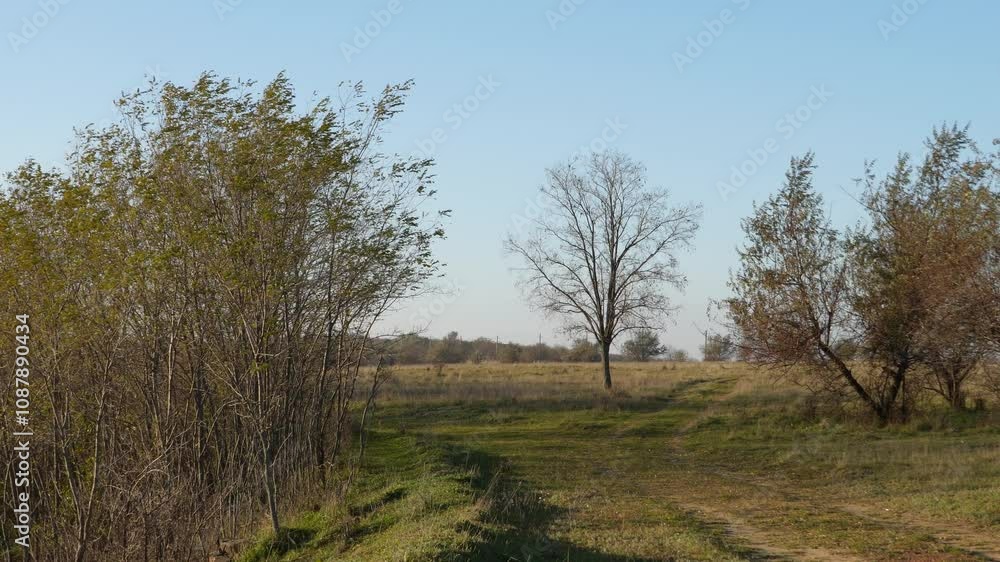 Rural landscape with a dirt path winding through fields, bordered by sparse trees and bushes. Clear blue sky in early autumn creates a serene countryside setting. Rural landscape with a dirt path winding through fields, bordered by sparse trees and bushes. Clear blue sky in early autumn creates a serene countryside setting.