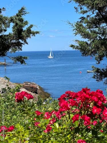 sailboat in the bay
