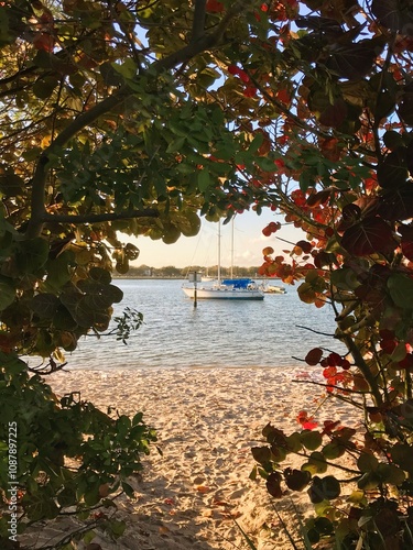 sail boat on the lake