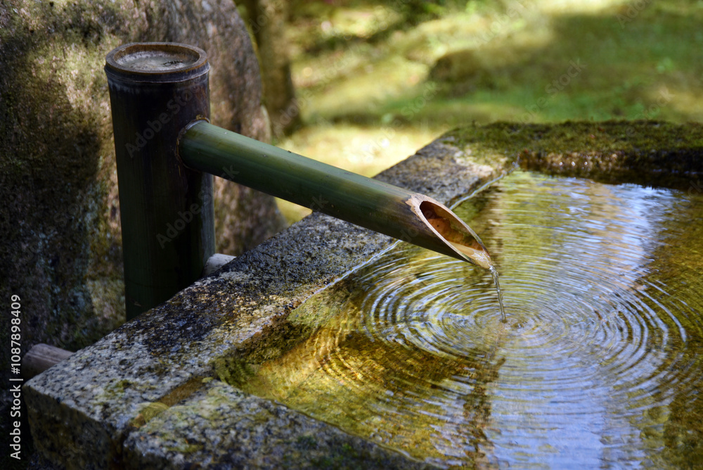 今熊野観音寺　境内の手水鉢　京都市東山区泉涌寺山内町