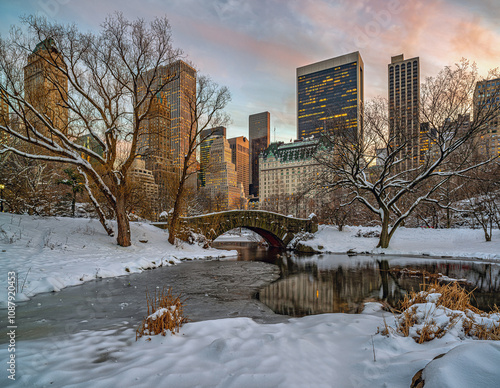 Obraz na płótnie Gapstow Bridge in Central Park w salonie