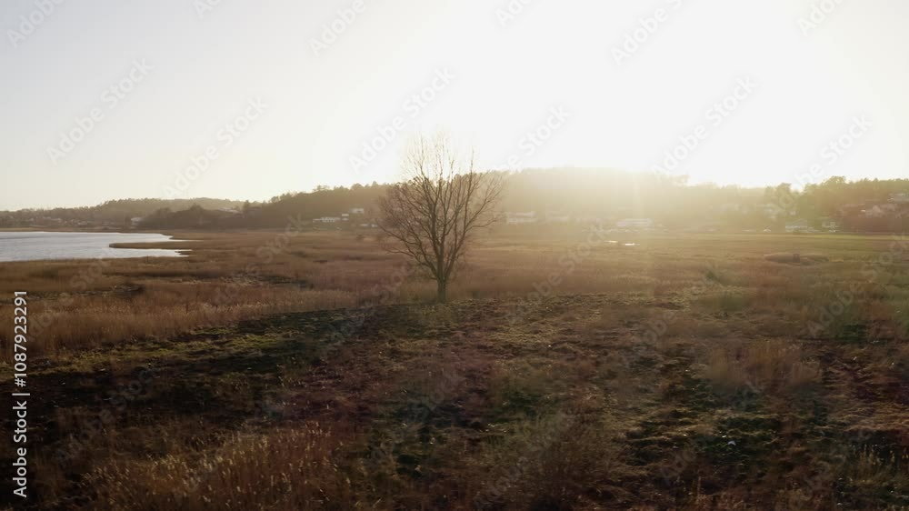 Autumn field with sunlight in rural sweden Autumn field with sunlight in rural sweden