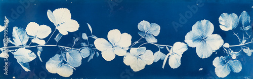 Vintage pressed cyanotype flowers background