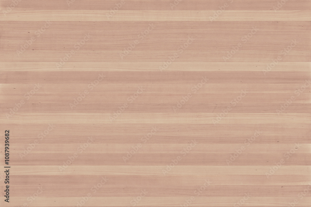 Fototapeta premium european beech tree wood timber texture grain pattern background