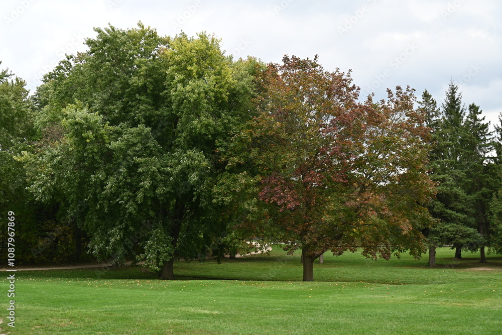 beautiful landscape and autumn and forest beautiful landscape and autumn and forest