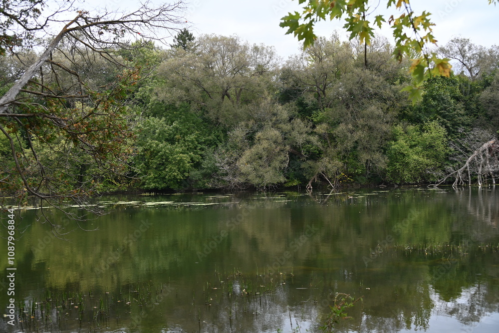beautiful landscape and autumn and forest and lake, beautiful landscape and autumn and forest and lake,