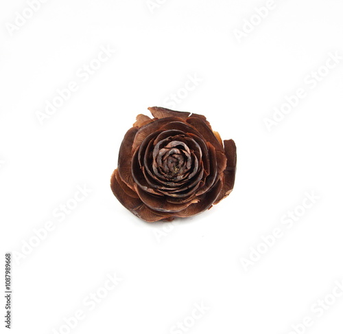 Seed of Cedar Wood Rose Cone, cedrus deodara cone on white  background photo