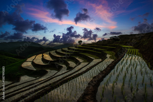 Beautiful view of Pong Piang rice terraces at sunset at Ban Pa Bong Piang, North, Chiang Mai, Thailand. photo