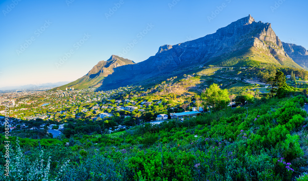 Fototapeta premium Sunset panorama of Table Mountain from Signal Hill slopes, Cape Town, South Africa