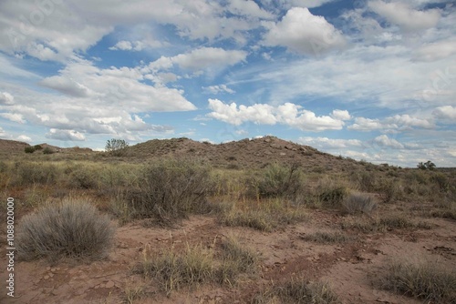 desert view