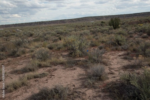 desert view