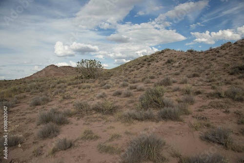 desert view