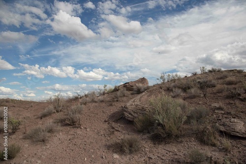 desert view