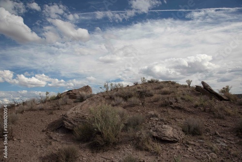 desert view