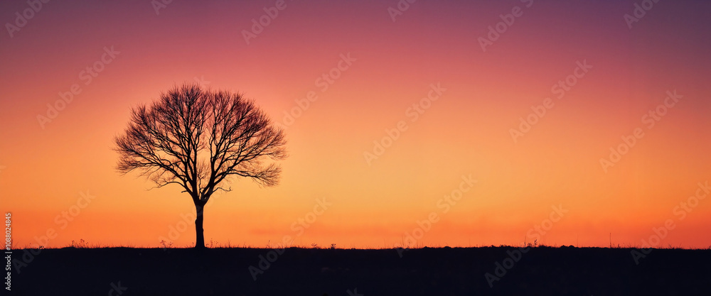 Fototapeta premium Lone tree silhouette against vibrant sunset sky, serenity