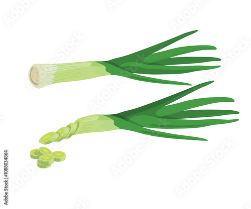 Leek bunch with slices in Vector illustration isolated on white background