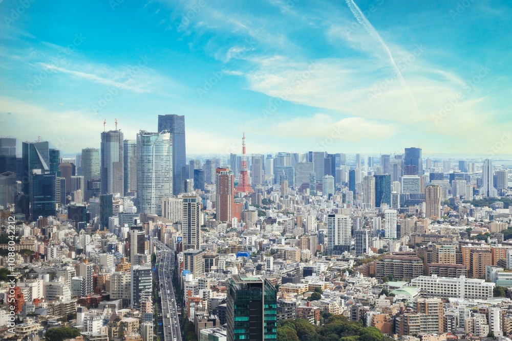 Obraz premium Panoramic view of metropolitan Tokyo