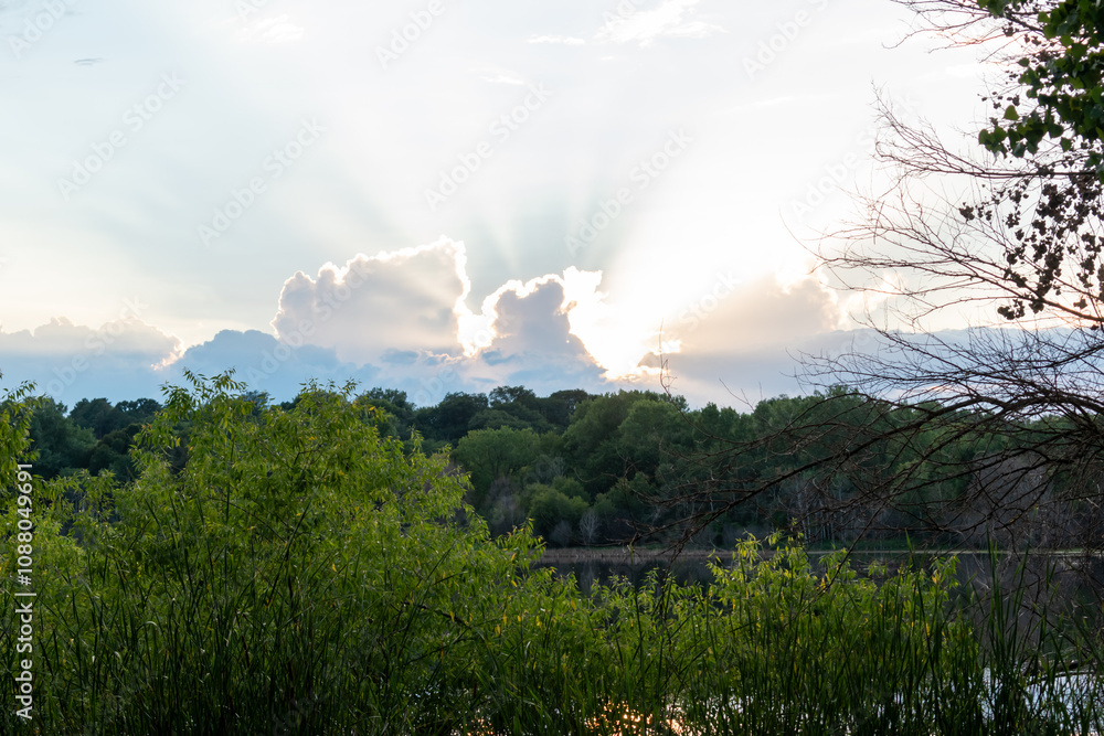 A stunning sunset and God's rays over a local MN lake with lots of greenery. A stunning sunset and God's rays over a local MN lake with lots of greenery.