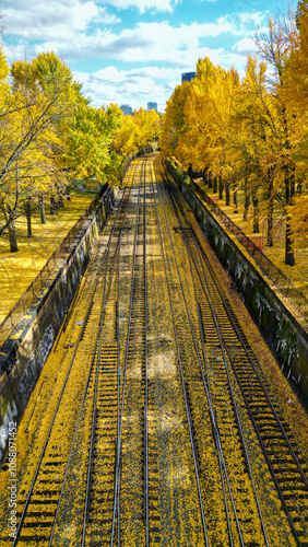 Railroad Tracks Lined with Fall Trees in Pittsburgh