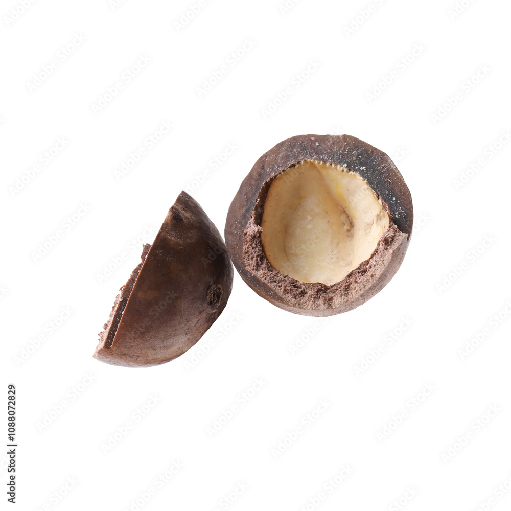 Part of macadamia nut shell isolated on white Part of macadamia nut shell isolated on white