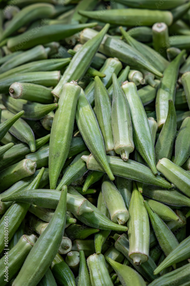 A close-up image of fresh okra, or lady's fingers. A close-up image of fresh okra, or lady's fingers.