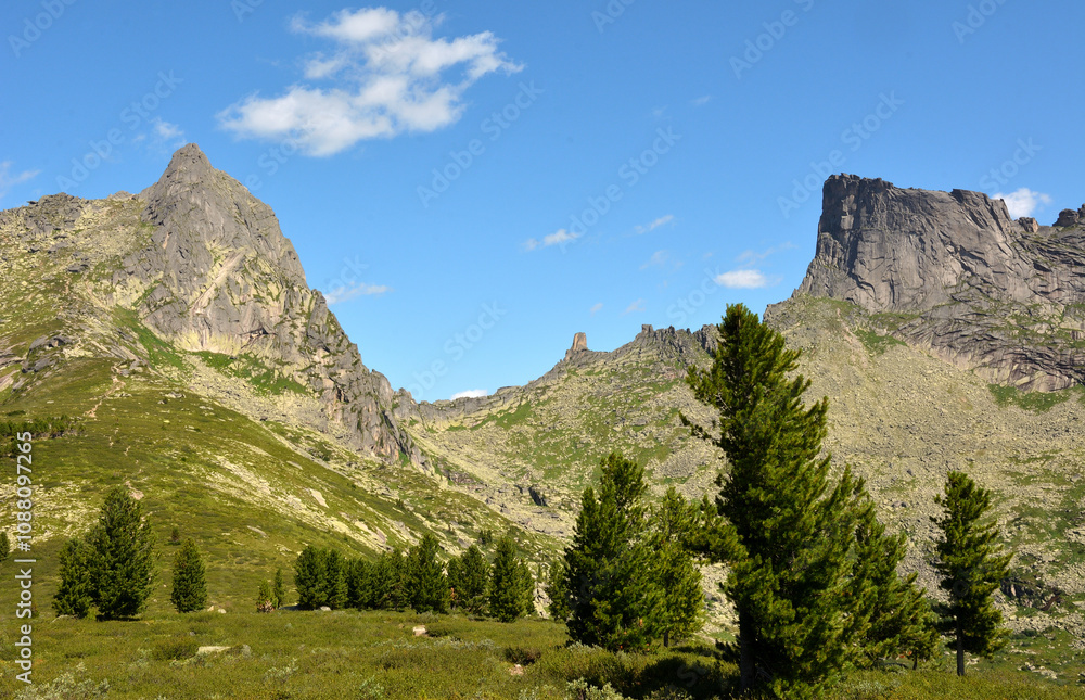 A row of tall pine trees along the path rising up the mountain under a summer cloudy sky. A row of tall pine trees along the path rising up the mountain under a summer cloudy sky.