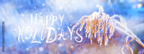 Happy Holidays text. A calm, frozen winter scene. Amazing nature background. Frozen grass at sunrise close up. Winter wonderland. Idyllic nature. Banner.