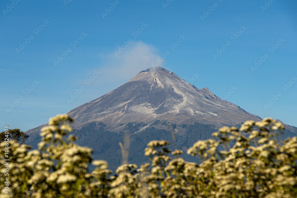 Fototapeta premium Popocatepetl Volcano registers a collapse on one of its faces. It presents constant ash activity. It remains in yellow alert phase 2