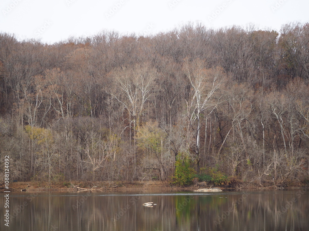 fall foliage along the Potomac river fall foliage along the Potomac river