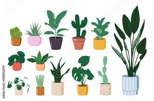 Potted plants set. Interior houseplants in planters, baskets, flowerpots. Home indoor green decor.