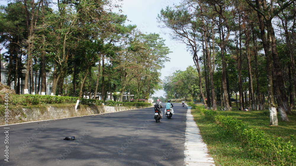 Motorcyclists Riding on a Scenic Tree-Lined Road Motorcyclists Riding on a Scenic Tree-Lined Road