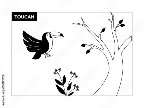 Toucan bird. Birds illustrations. Flat vector illustrations.