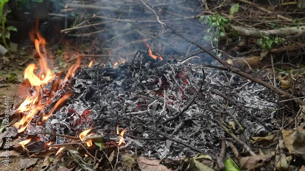 burning fallen tree leaves and branches in the garden, fire with rising smoke and burnt remains, disposal of waste concept in close-up burning fallen tree leaves and branches in the garden, fire with rising smoke and burnt remains, disposal of waste concept in close-up