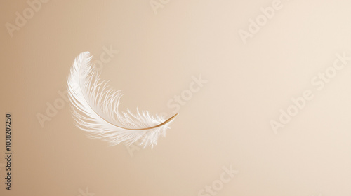 Delicate White Feather on B...