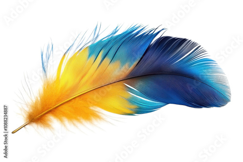 Blue and yellow feather PNG: A high-quality image of a colorful bird feather isolated on a transparent background