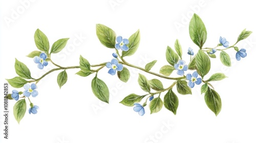 Floral arrangement with blue flowers and green leaves nature illustration bright fresh botanical