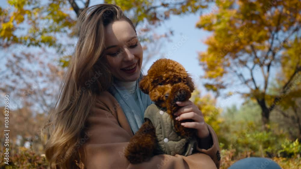 Smiling Woman Holding Toy Poodle Dog on Knees Waving Doggy's Paw Making bye-bye or Hello Gesture Sitting on Bench in Autumn City Park - dolly in Smiling Woman Holding Toy Poodle Dog on Knees Waving Doggy's Paw Making bye-bye or Hello Gesture Sitting on Bench in Autumn City Park - dolly in