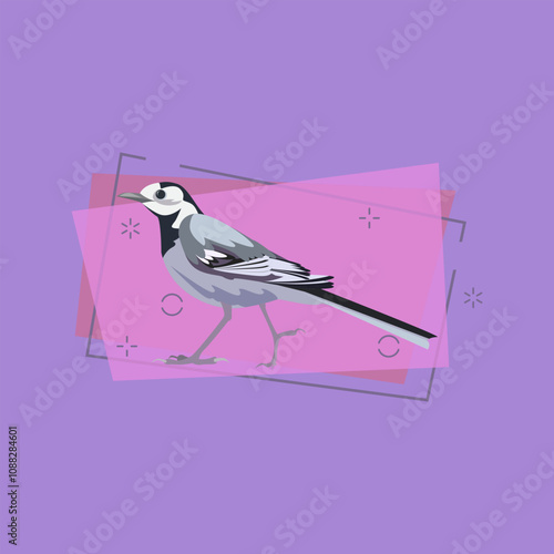 Gray tit illustration. Bird, tail, wings, beak. Nature life concept. Vector illustration can be used for topics like nature, animal world, encyclopedia