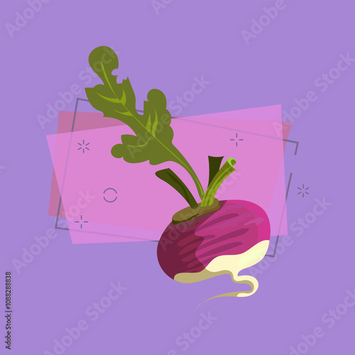 Purple reddish illustration. Vegetable, ground, growth, food. Farming concept. Vector illustration can be used for topics like garden, kitchen, cooking photo