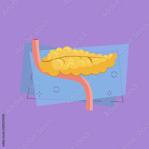 Human pancreas illustration. Human organ, body. Medicine concept. Vector illustration can be used for hospital, laboratory, medical colleges and universities, anatomy studying