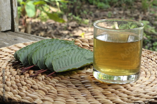 Fresh kratom leaves or mitragyna speciosa and a glass of kratom tea