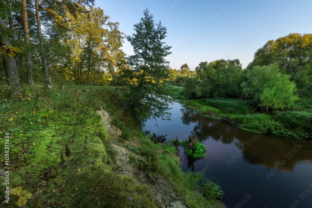 A river with a tree in the middle of it A river with a tree in the middle of it